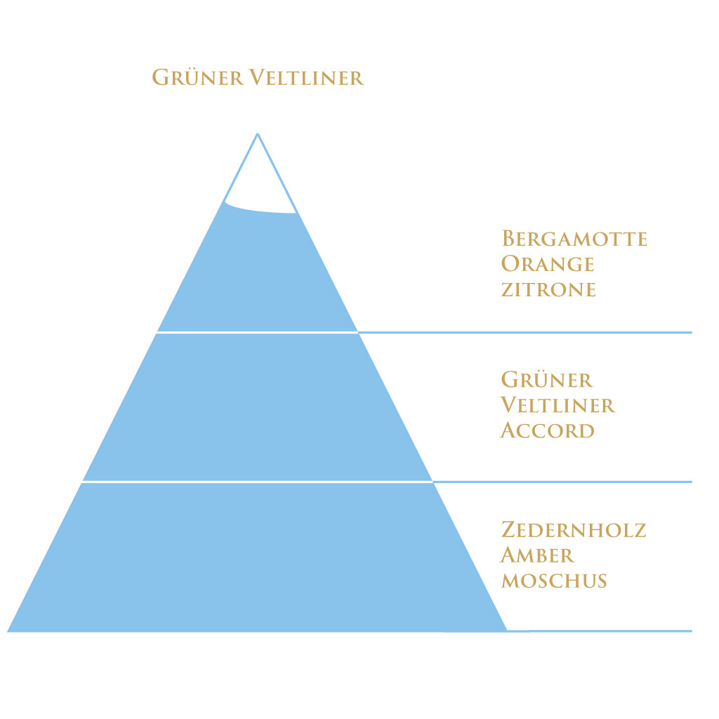 Duftpyramide Grüner Veltliner – zitrisch, fruchtig, holzig & elegant