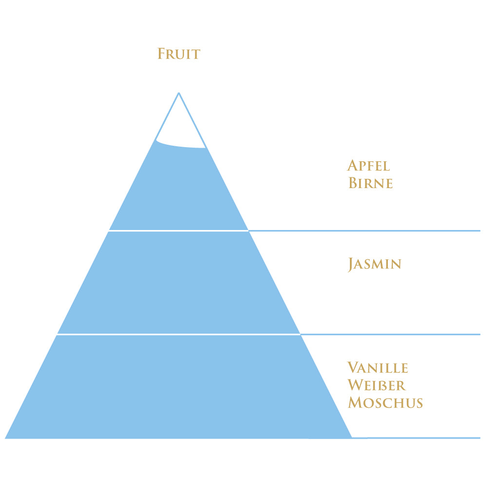 Duftpyramide des Raumdufts Fruit von Acqua Alpes – fruchtige und sanfte Nuancen